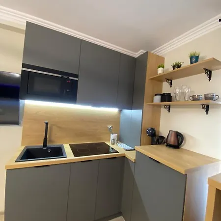 Apartment Luxury House Brasov