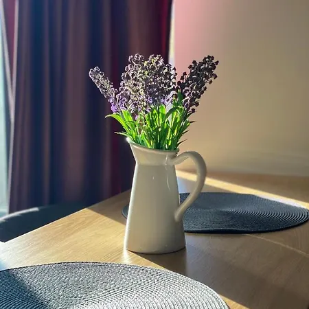 Luxury House Apartment Brasov