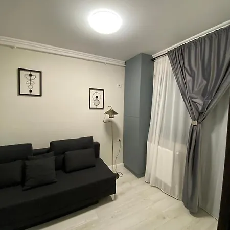 Luxury House Apartment Brasov