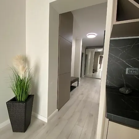 Luxury House * Brasov