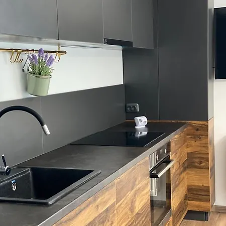 Apartment Luxury House