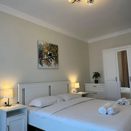 Luxury House Apartment Brasov